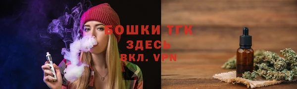 тгк Володарск
