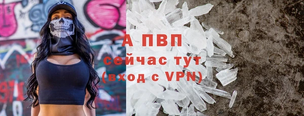 тгк Володарск